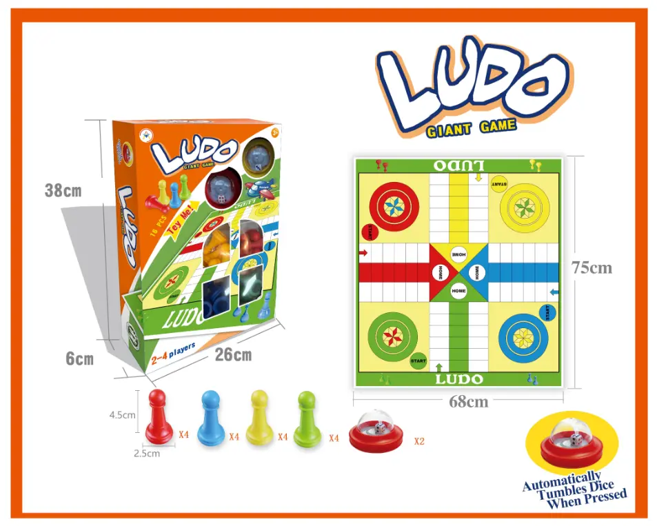 Ludo Game
