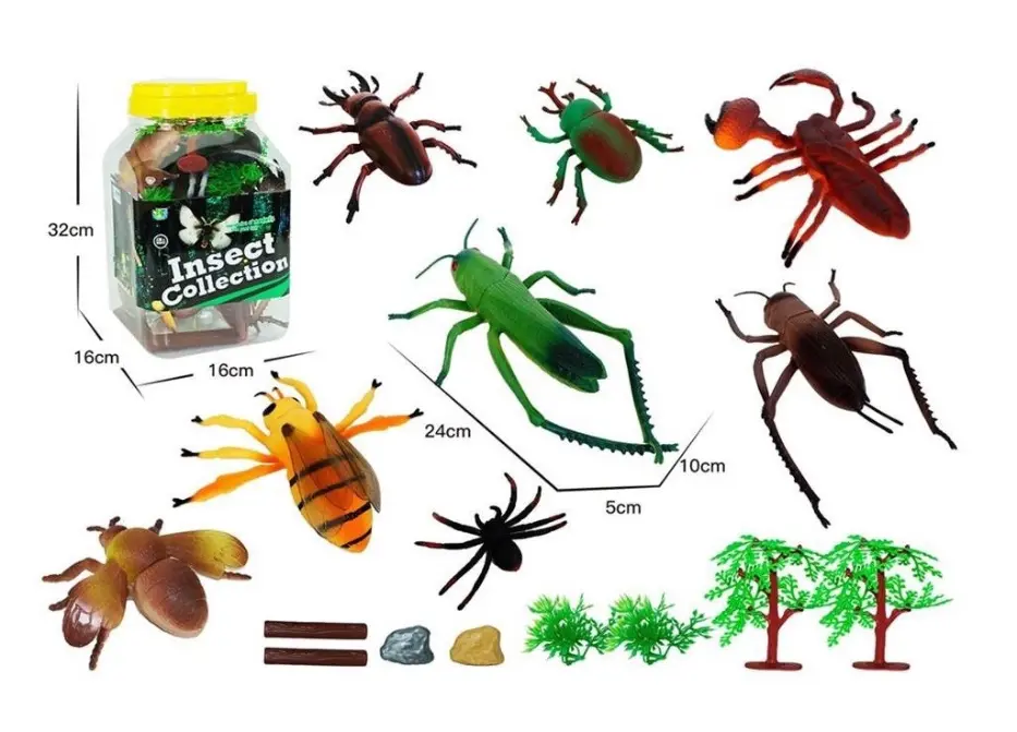 Insect Collection 